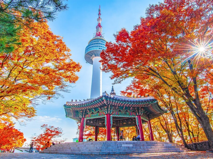 남산가을.jpg