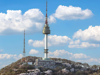 [Small Group Tour] N-Seoul Tower Tour (PM)