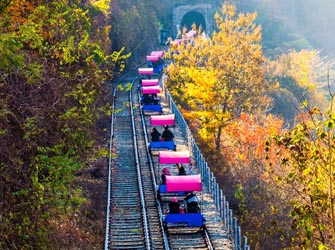 Nami Island, The Garden of Morning Calm and Railbike