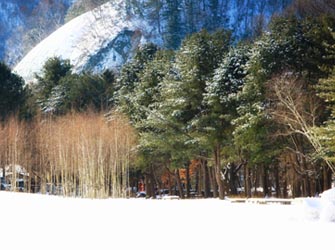 Snow Scenic Tour: Nami Island+Ski Resort