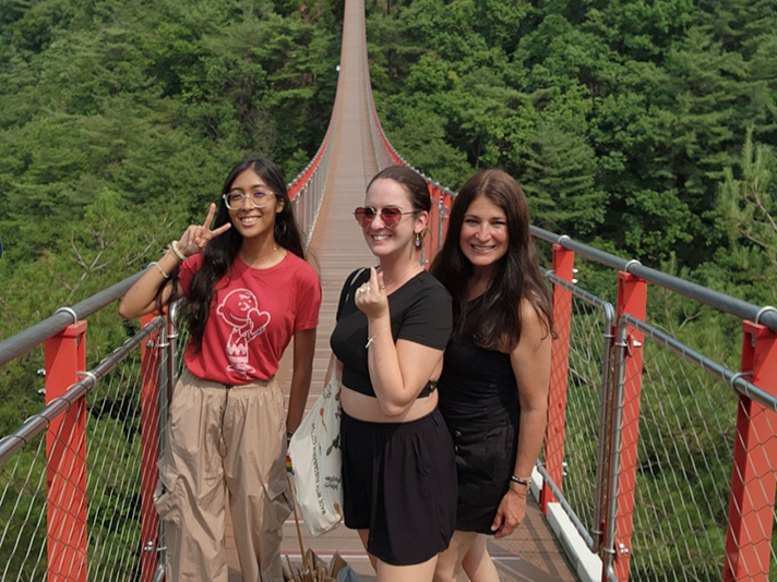 Best DMZ and Red Suspension Bridge