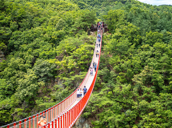 Best DMZ and Red Suspension Bridge