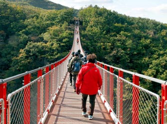 Best DMZ and Red Suspension Bridge